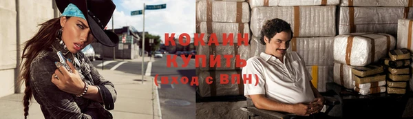 стаф Сафоново