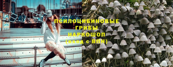2c-b Аркадак