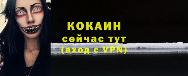 стаф Сафоново