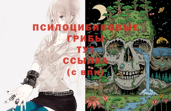 2c-b Аркадак