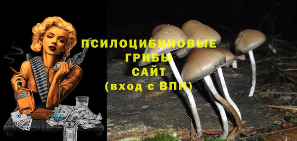 прущая мука Армянск
