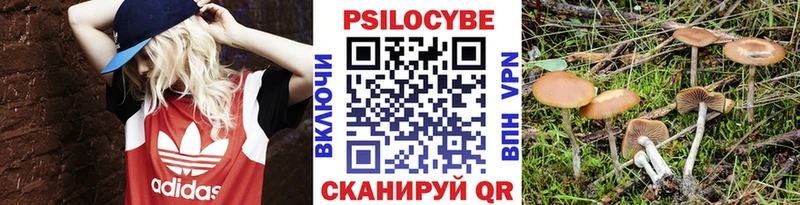 Галлюциногенные грибы MAGIC MUSHROOMS Ишимбай
